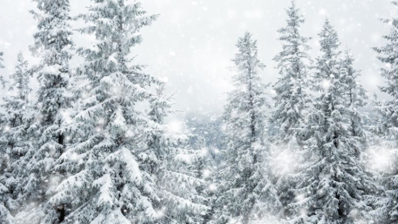 Siirt okullar tatil mi? 31 Aralık yarın Siirt okullar tatil mi?