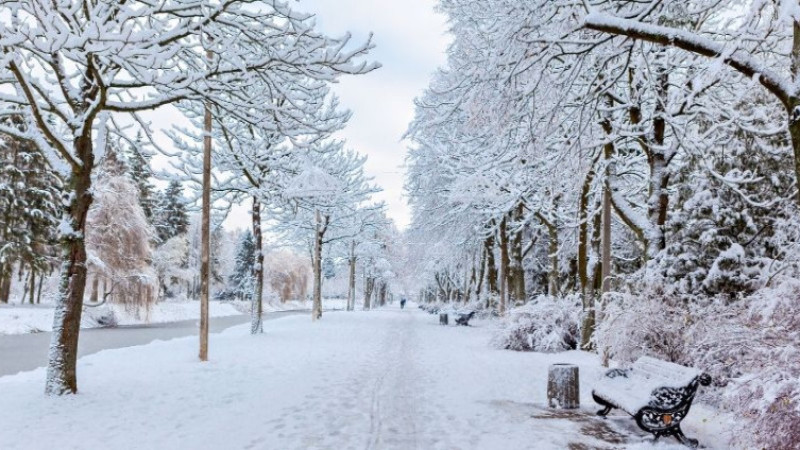Adıyaman’da yarın okullar var mı yok mu? 12 Ocak 2026 okullar tatil mi?