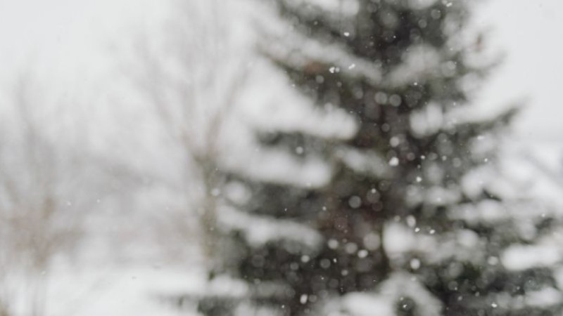 Gaziantep’te yarın okullar var mı yok mu? 12 Ocak 2026 okullar tatil mi?