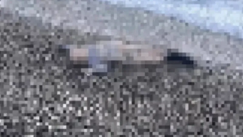 Tüyler ürperten manzara! Sahile vurmuş çocuk cesedi bulundu