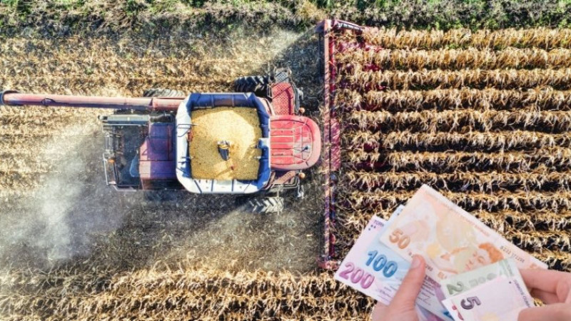 Çiftçiye nefes aldıran destek: Dekar başına 1.029 TL hesaplara yatacak