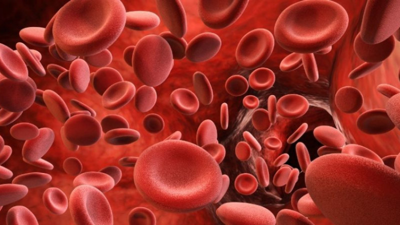 K vitamini nelerde var, ne işe yarar ve nasıl alınır?