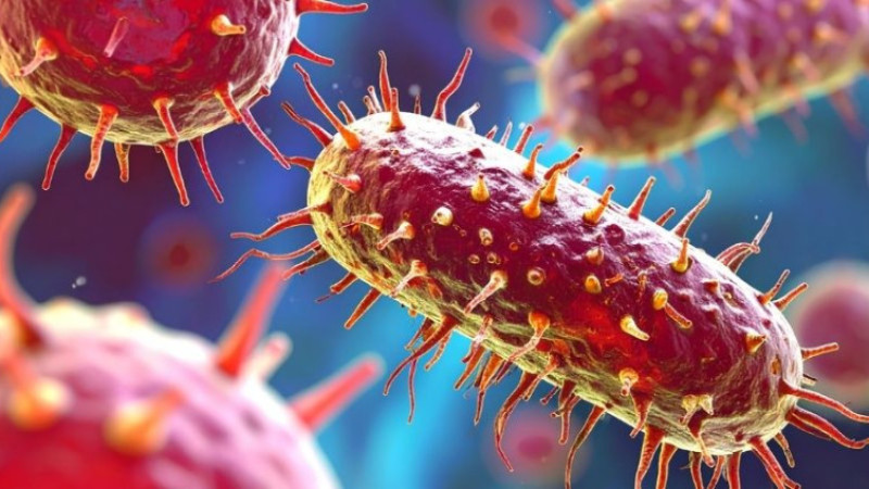 Aksef 500 mg Nedir, Ne İşe Yarar, Nasıl Kullanılır, Kimler Kullanır ve Yan Etkileri Neler? Fiyatı...