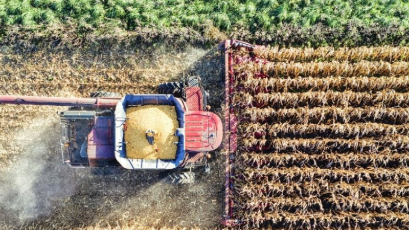 2025'te tarımsal desteklerden 2,9 milyon çiftçi yararlandı