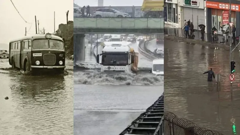 Bakan çiftçi açıkladı! Megakenti vuran sel felaketinde bilanço belli oldu